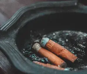 sheldia tobacco Shirey Dark Tobacco